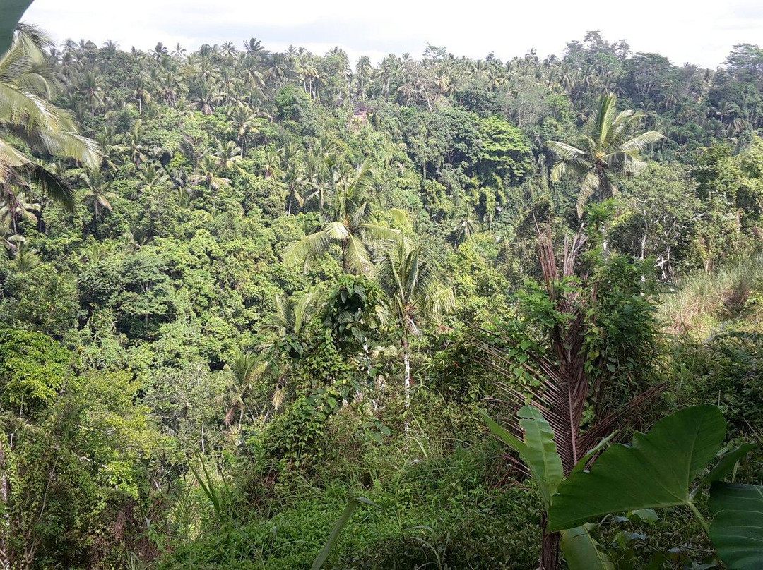 Be Bali Day Cooking Class-乌布必去景点