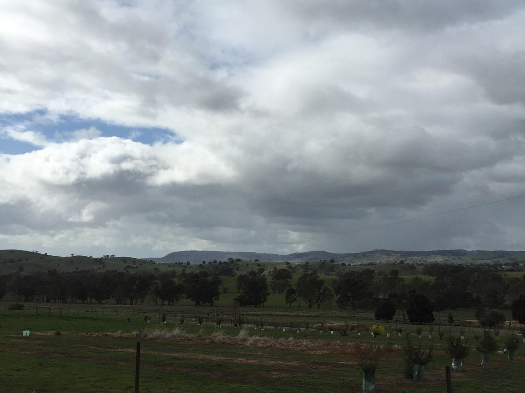 Avenel Maze-Avenel必去景点