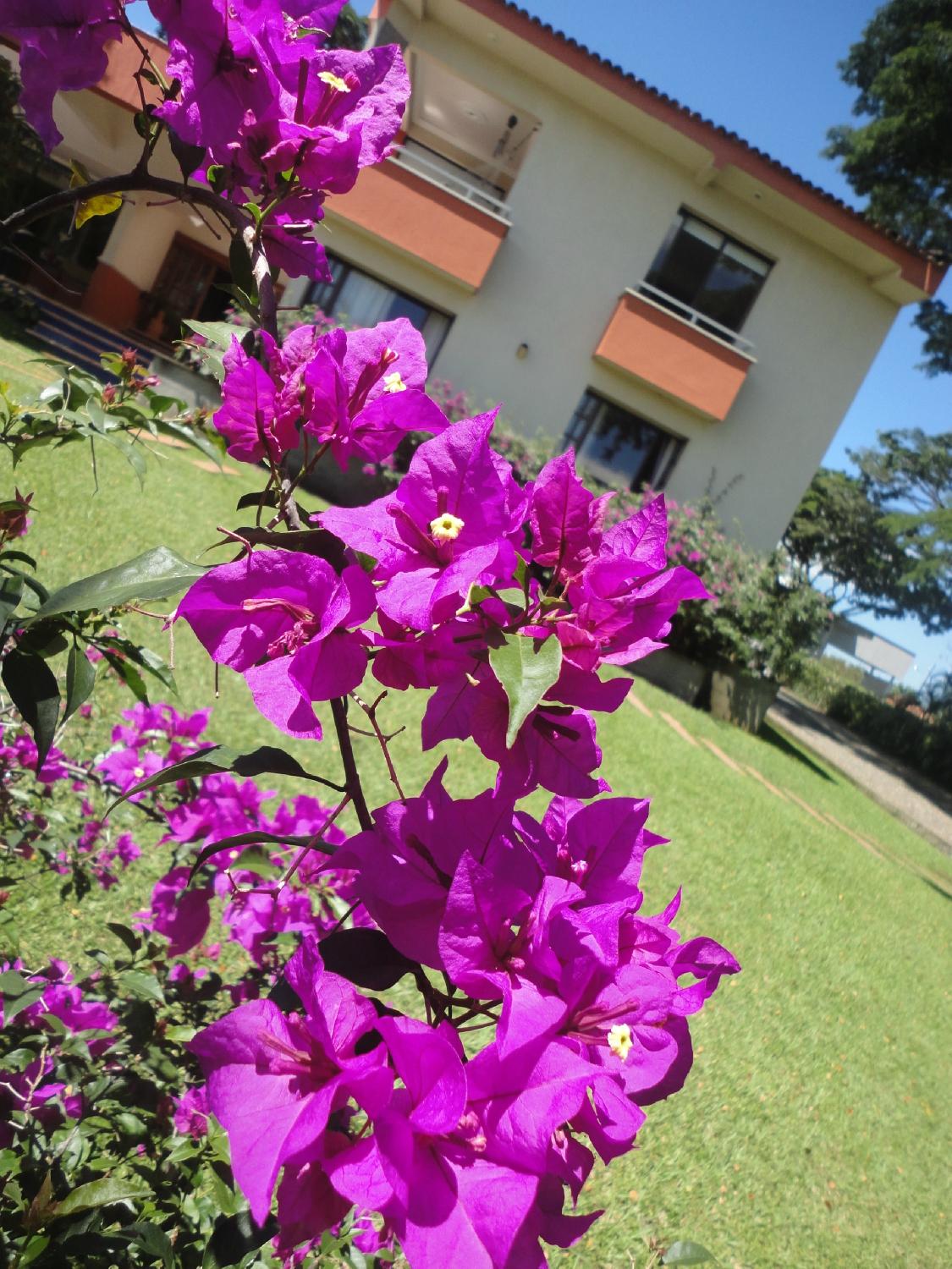 Estancia el Caney-客卧
