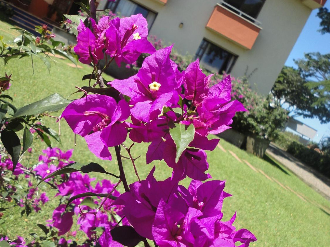 Estancia el Caney主图