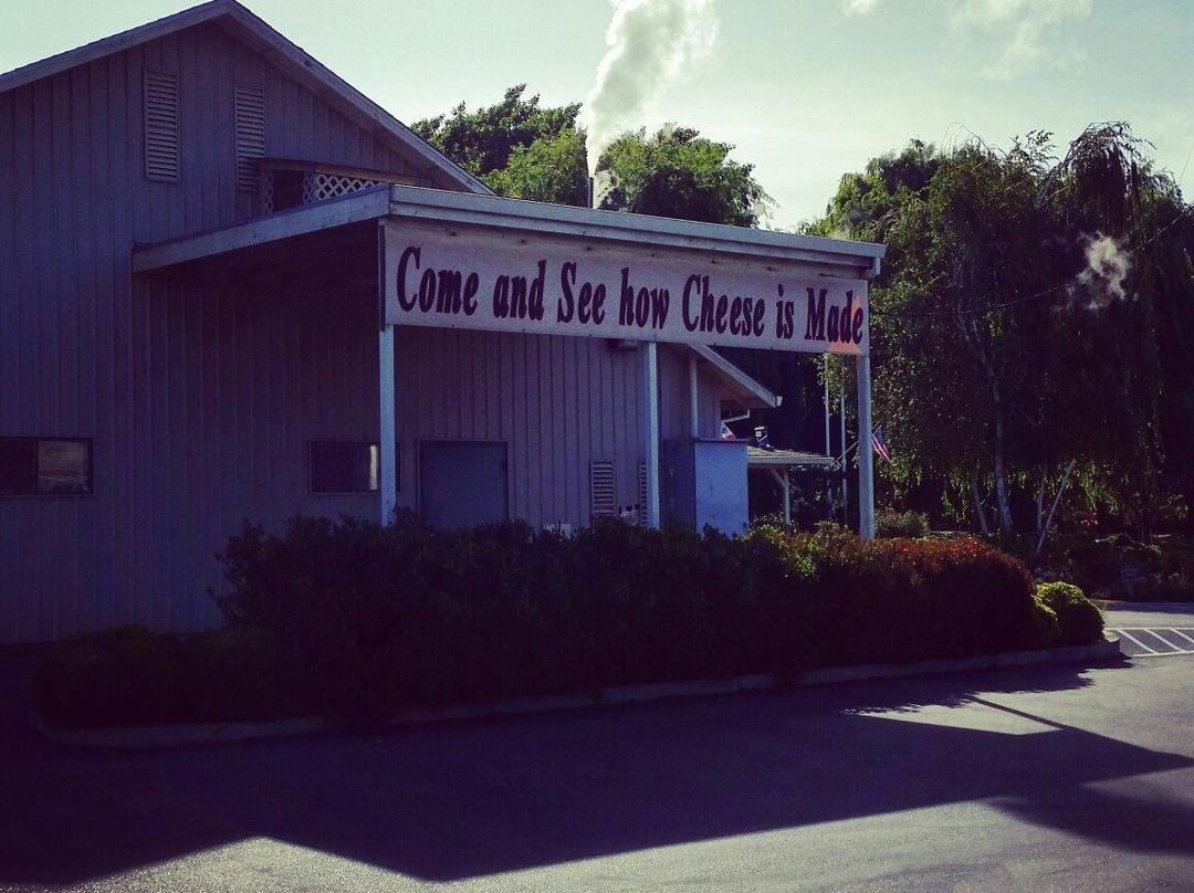 Oakdale Cheese & Specialties-奥克戴尔必去景点