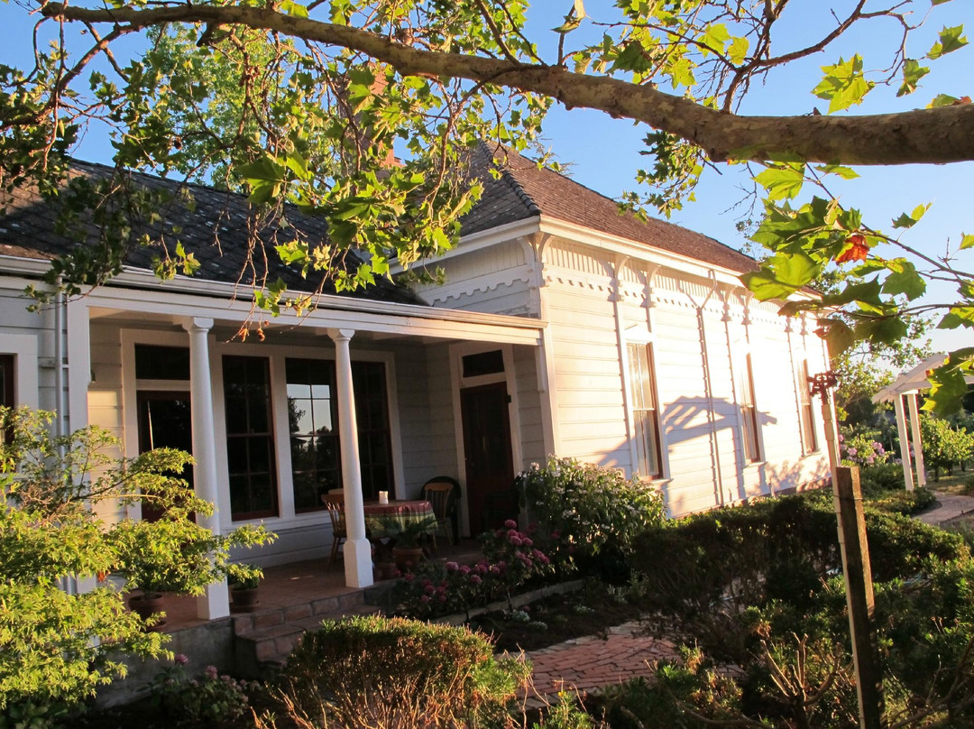 Retzlaff Vineyards-利佛摩必去景点