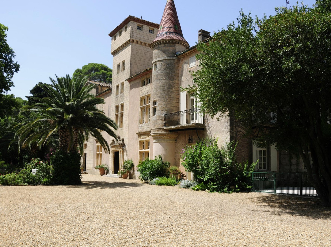 Château Saint Martin de la Garrigue景点图片