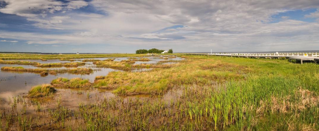 Neguac Bird Sanctuary (Ile-Aux-Foins Park)-Neguac必去景点