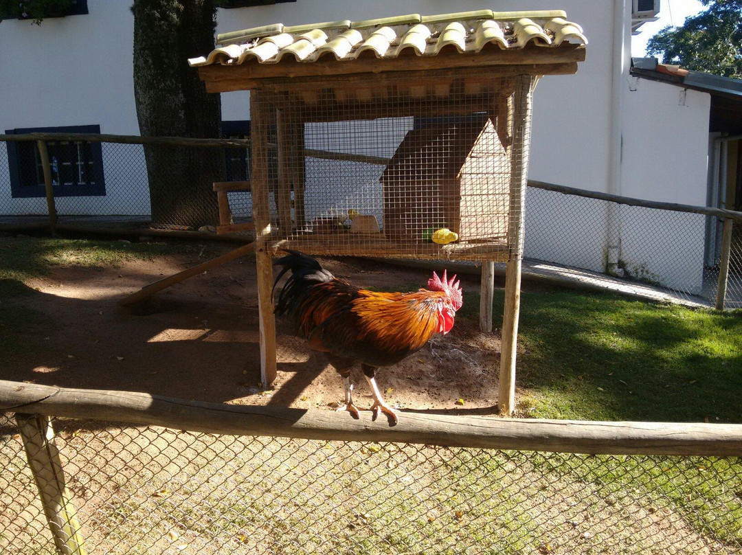 Fazenda do Chocolate-伊图必去景点