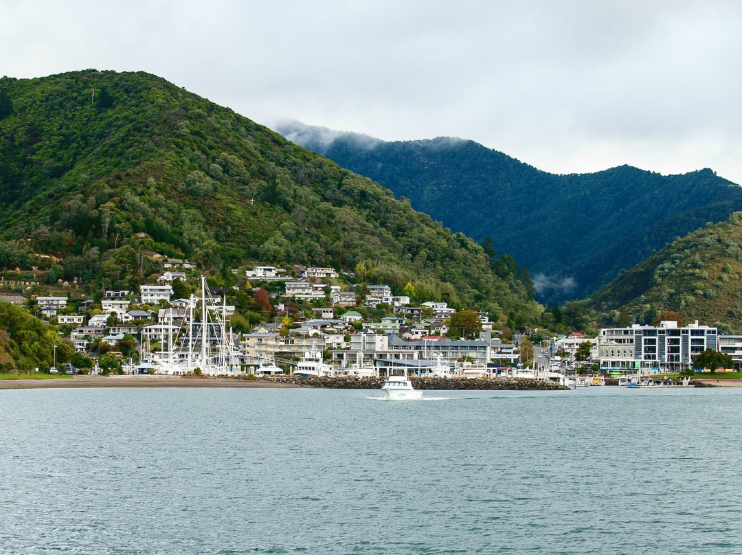 Queen Charlotte Boat Charters-皮克顿必去景点