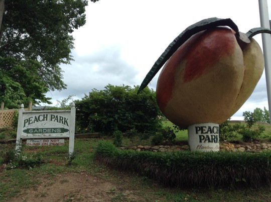 Peach Park