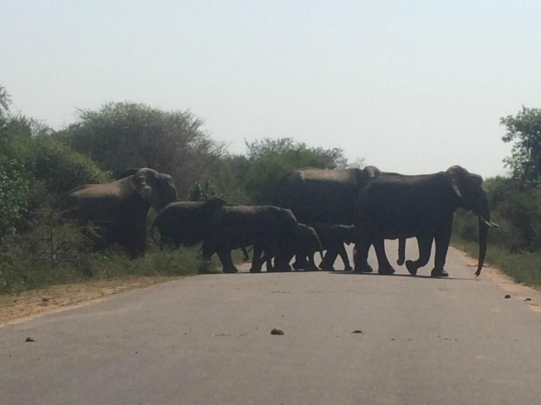 Kruger Sky Shuttle Service-赫拉斯科普必去景点