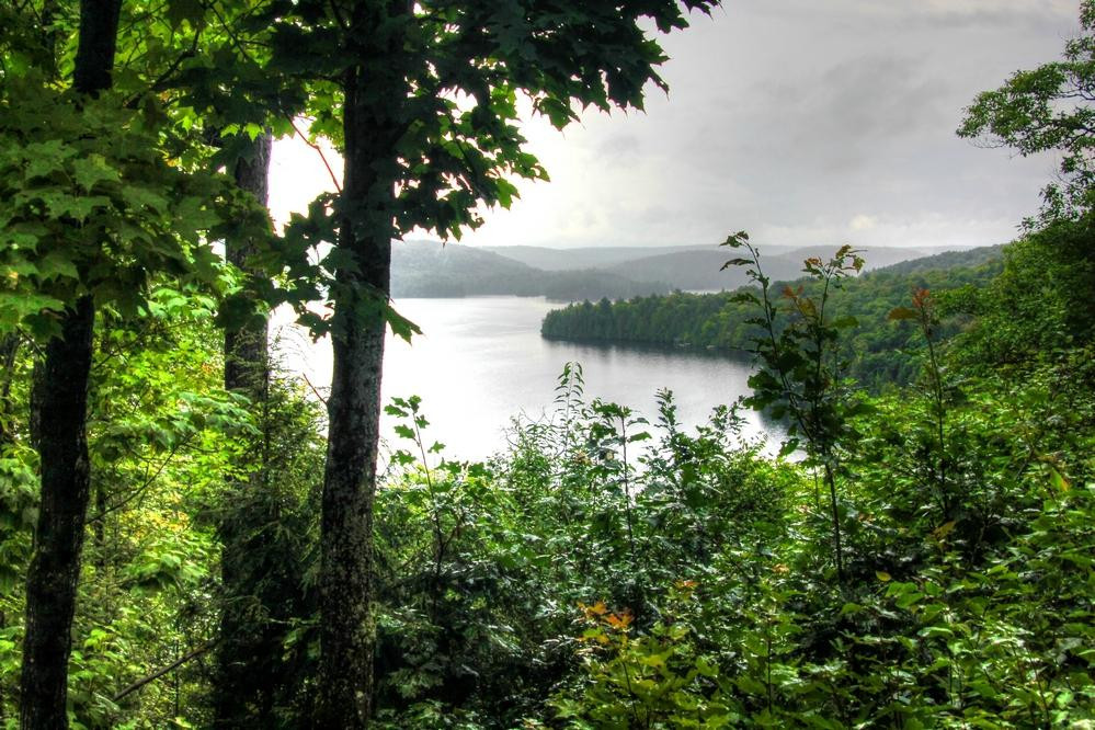 Hardwood Lookout Trail景点图片