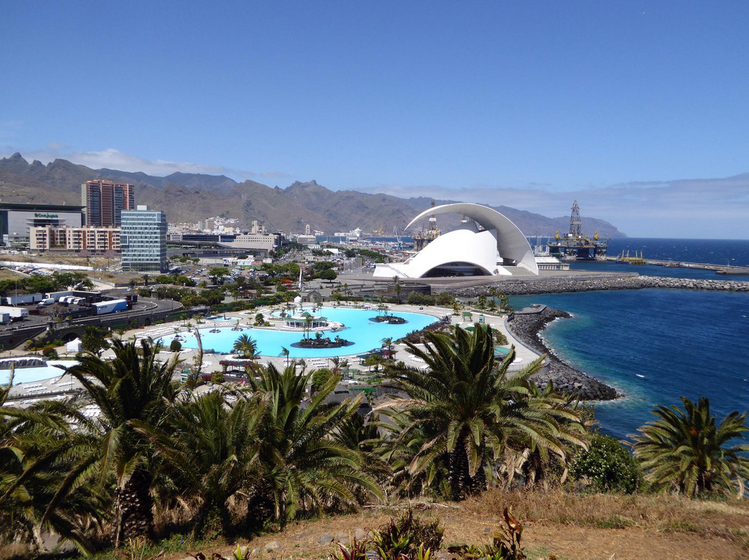 Jardín Botánico del Palmetum景点图片