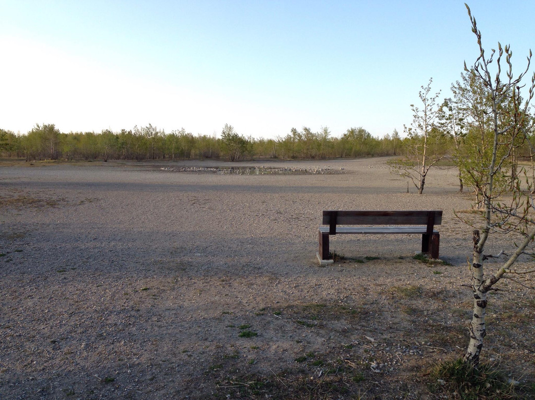 Nose Hill Park-卡尔加里必去景点