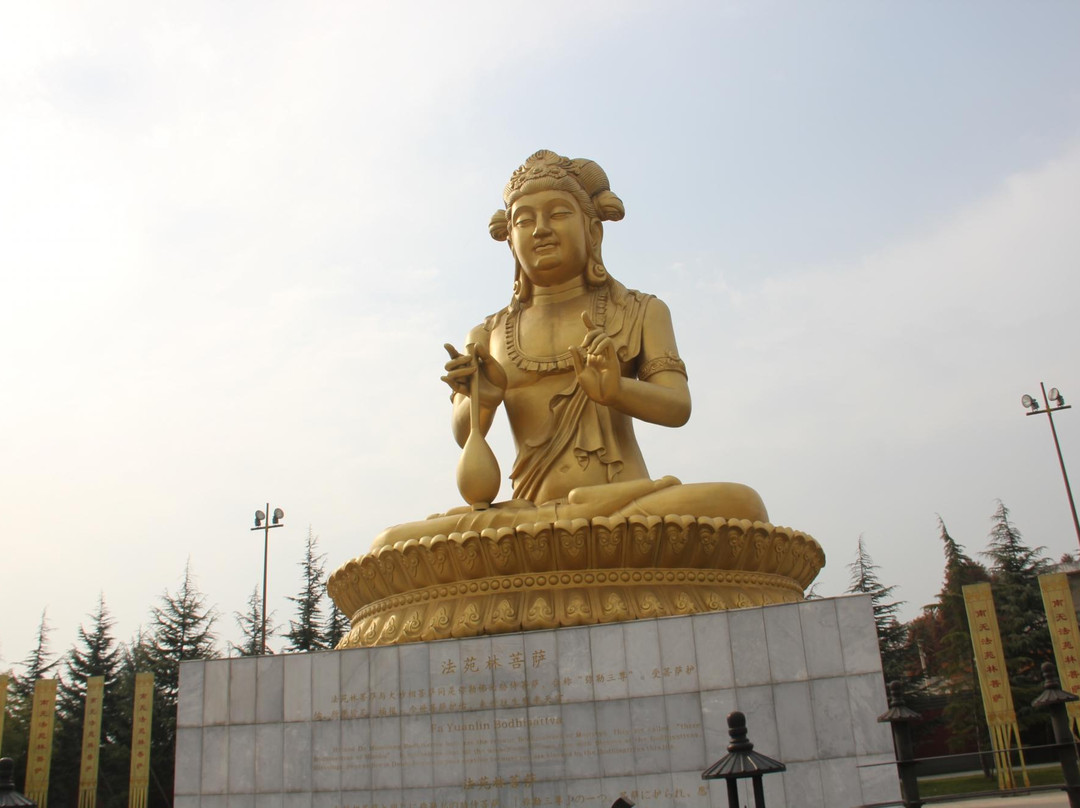 宝鸡法门寺博物馆景点图片