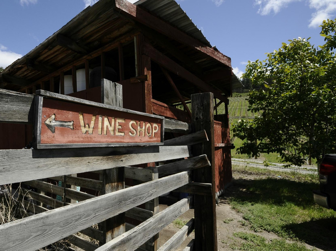 Nichol Winery and Vineyard景点图片