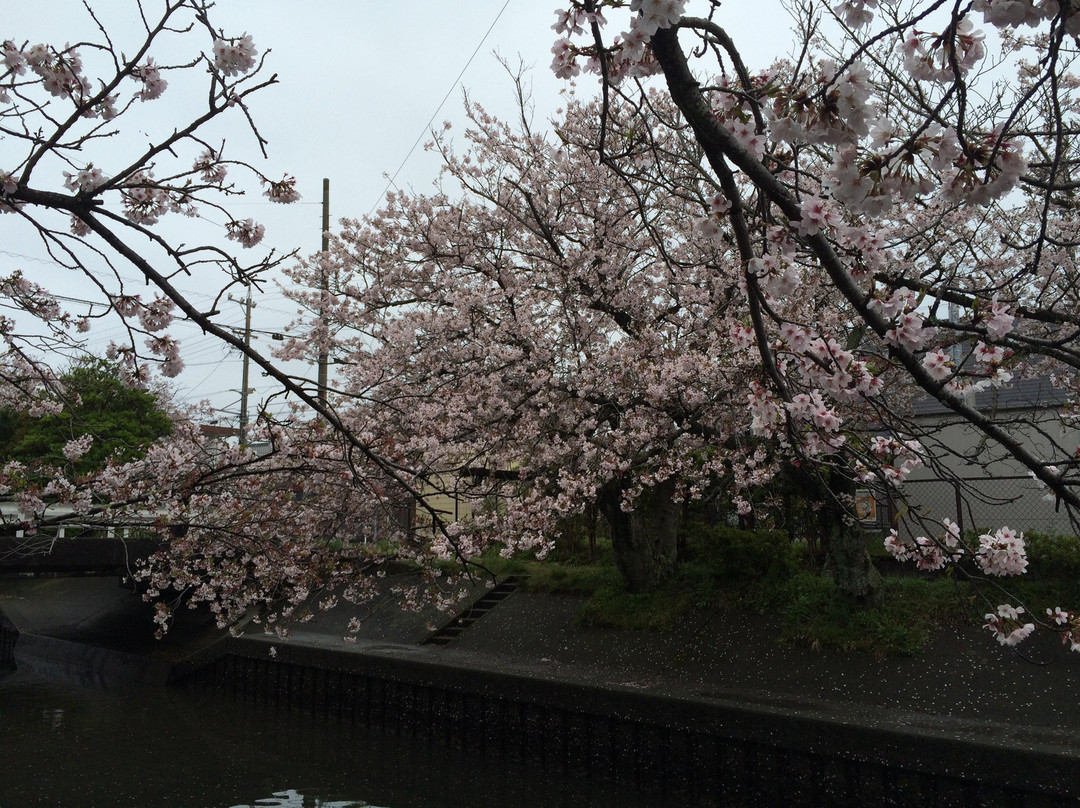 Kiyagawa Ridge景点图片