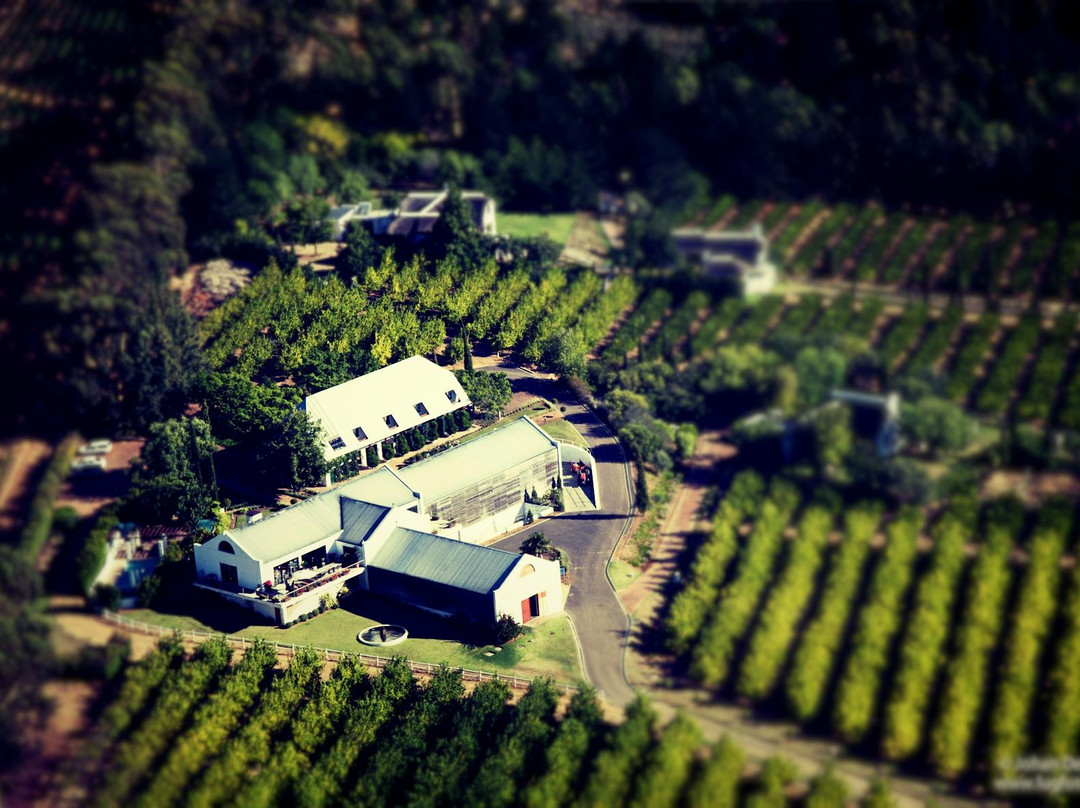 Marianne Wine Estate-斯泰伦博斯必去景点