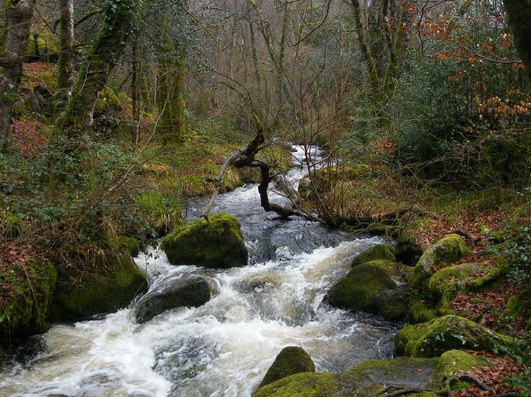 Cascades et Champs de Pierres d'Augerolles景点图片