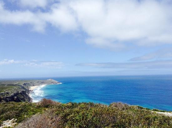 Gray Line Adelaide Day Tours-阿德莱德必去景点