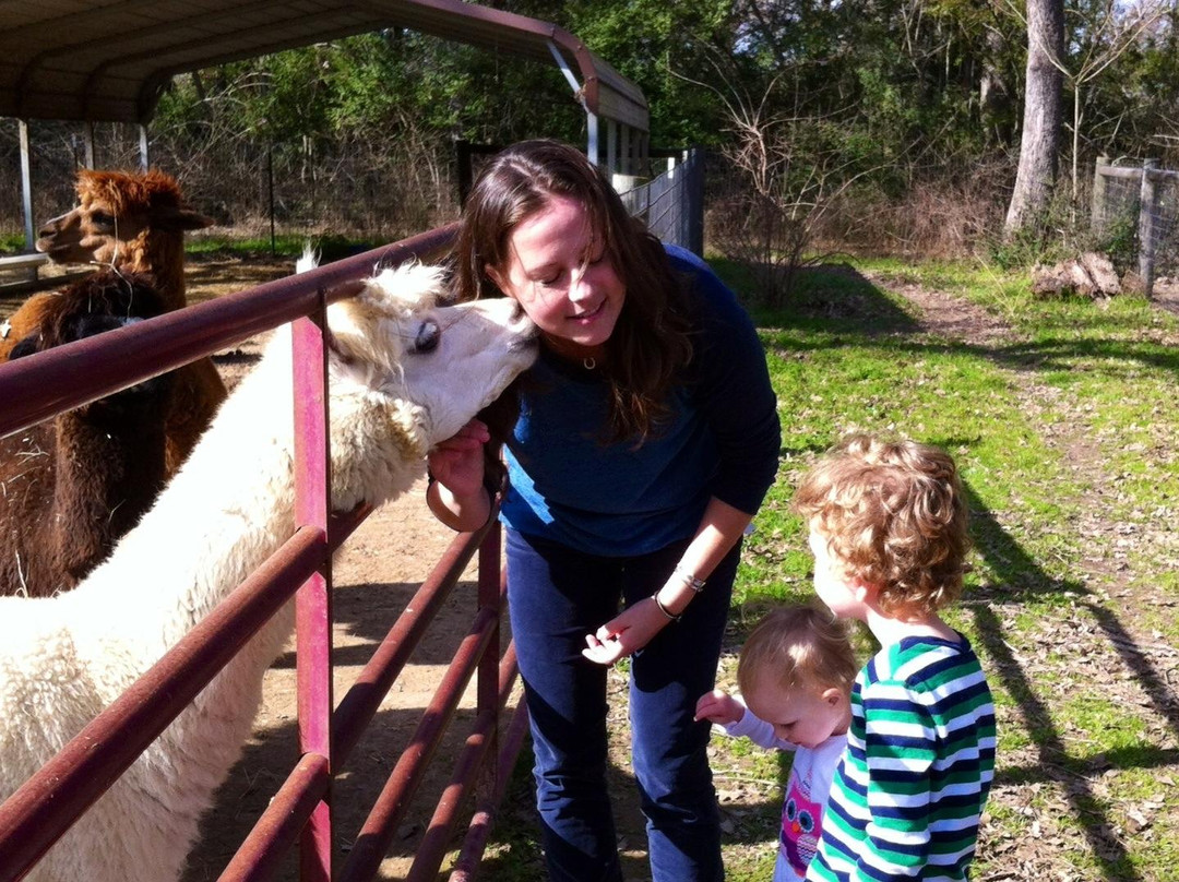 Royal Oaks Alpacas-布赖恩必去景点