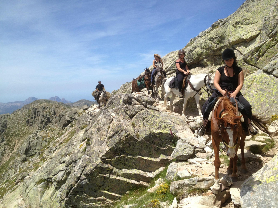 Ranch u Niolu a Cavallu景点图片