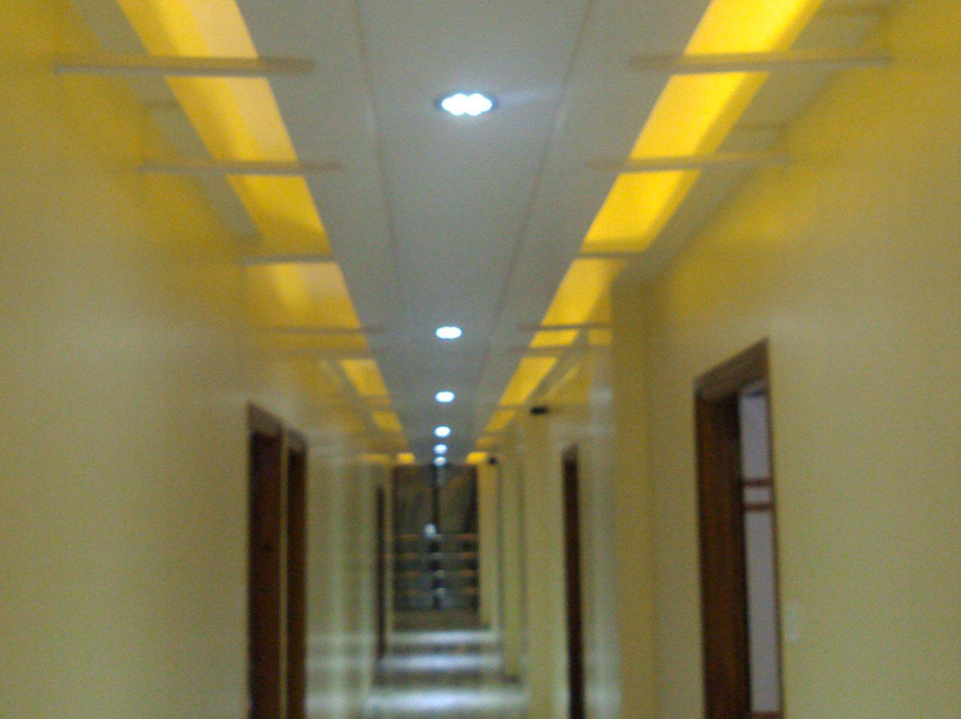 Hotel Madhushanti Lodge主图