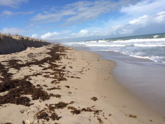 Walton Rocks Beach-Jensen Beach必去景点