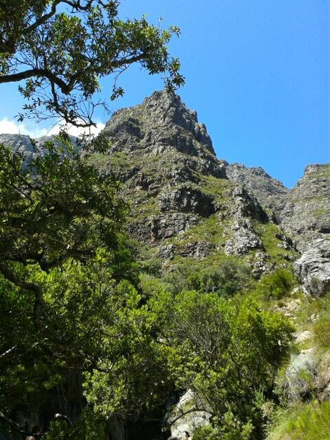 Jonkershoek Nature Reserve-斯泰伦博斯必去景点