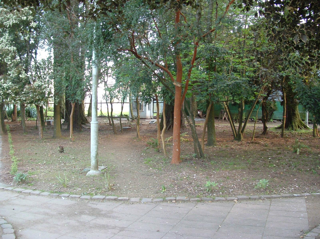 Park Prochelle-瓦尔迪维亚必去景点