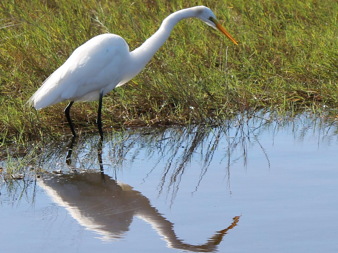 Buck Lake Conservation Area景点图片