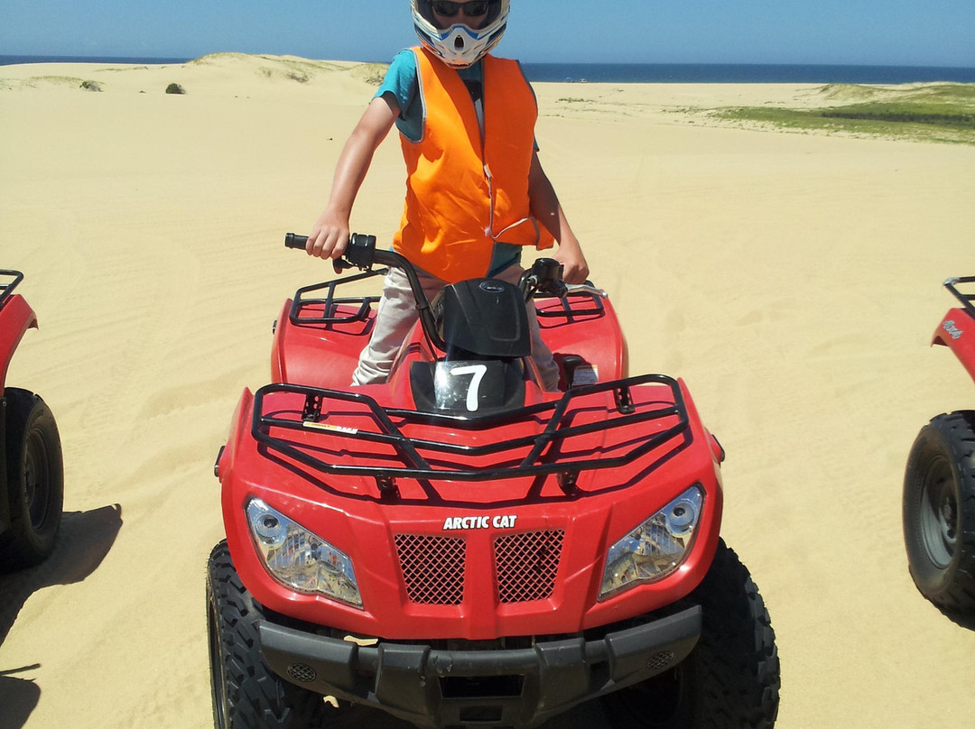 Sand Dune Adventures - Tours景点图片