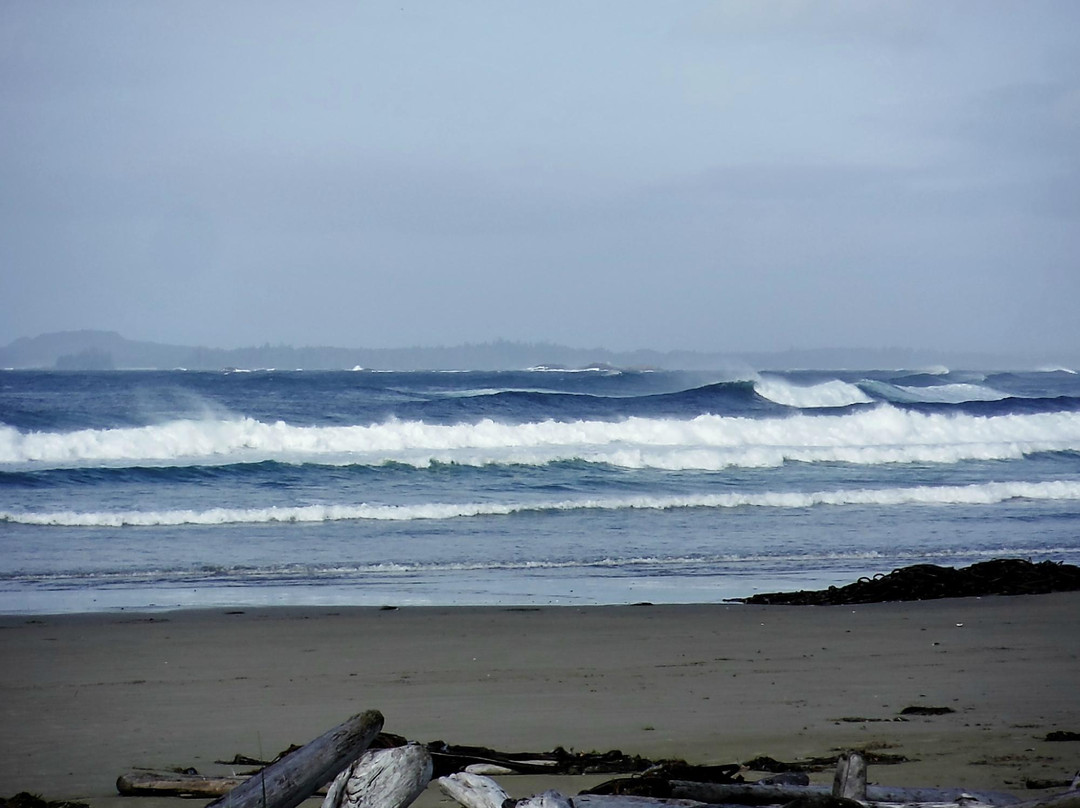 Wick'd Surf School - Day Adventure景点图片