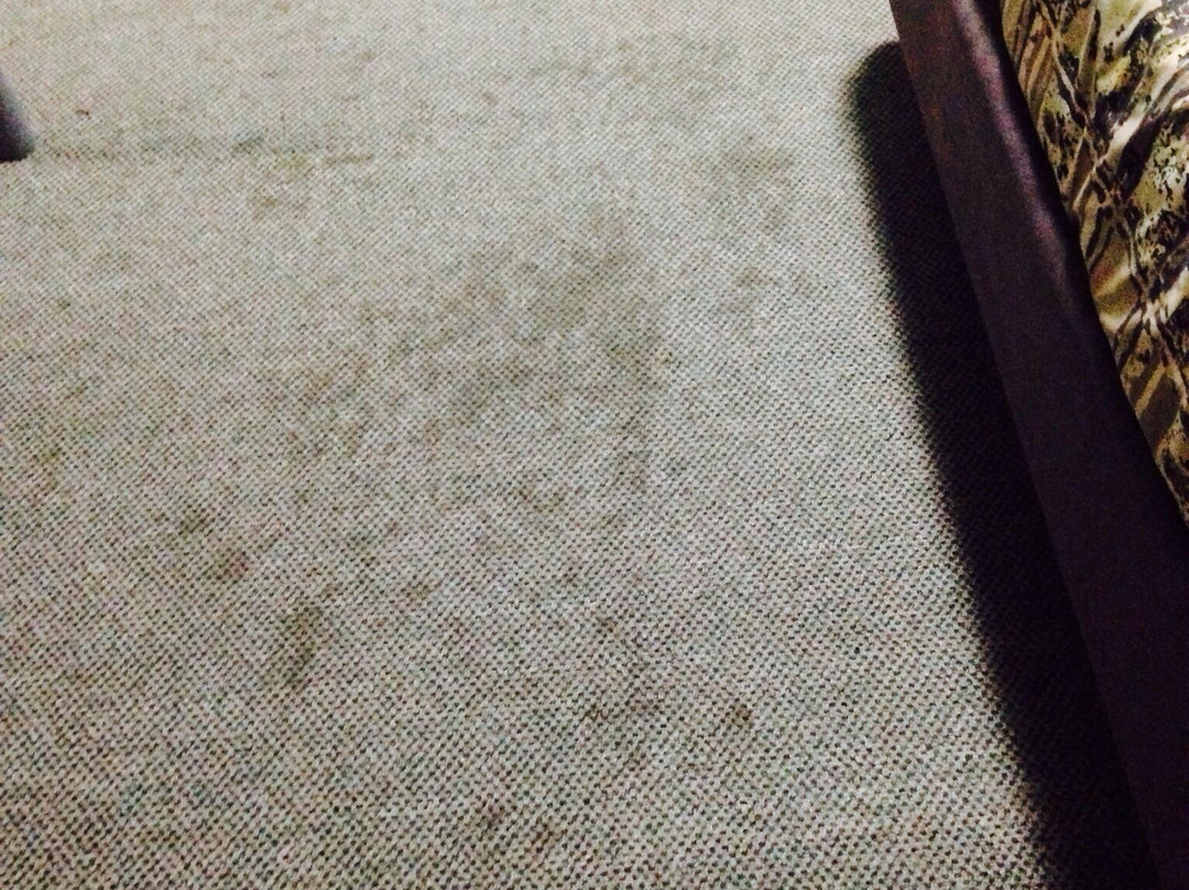 Noosa North Shore Resort-努沙必去景点