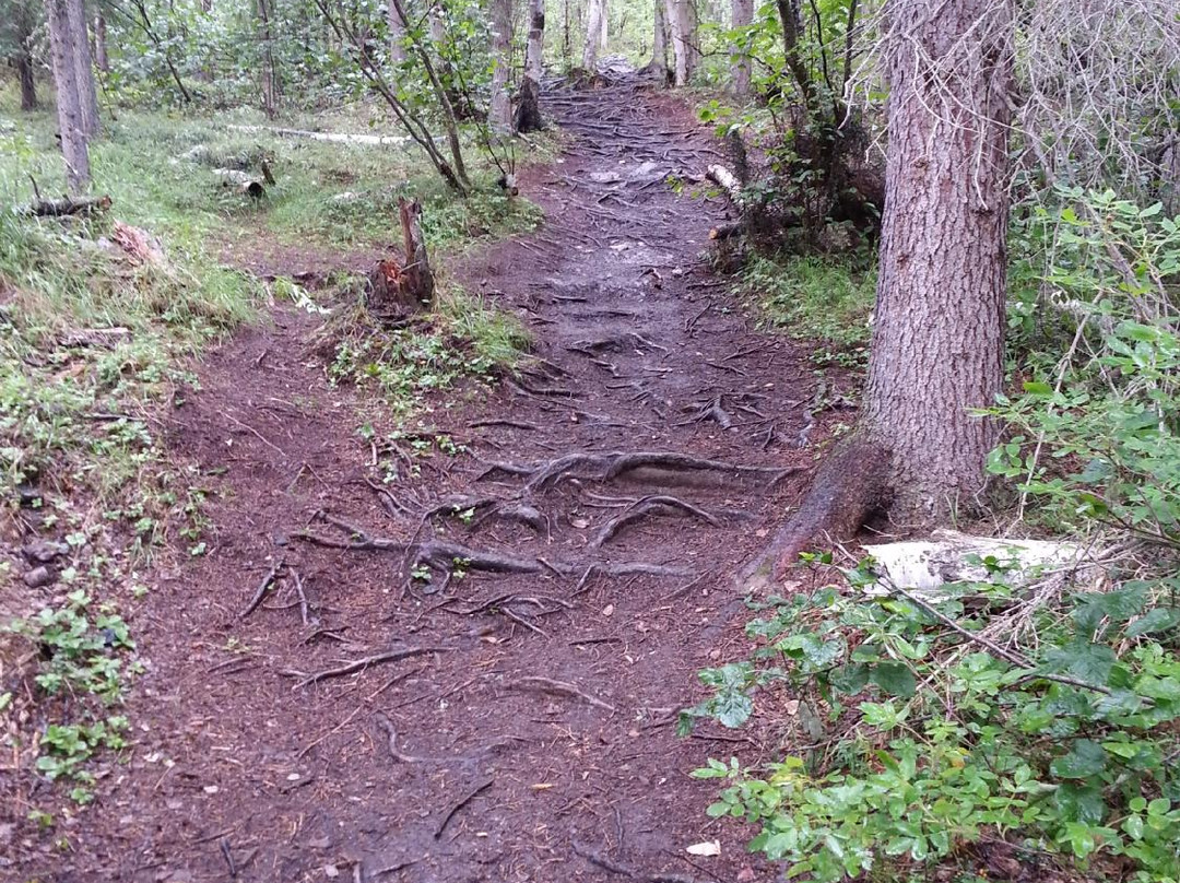 Angel Rocks Trail-费尔班克斯必去景点