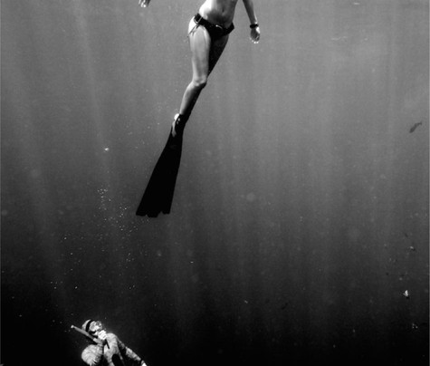 Fusion Freedive and Spearfishing-沙努尔必去景点