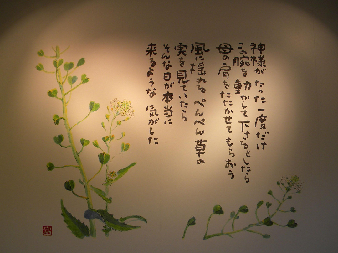 Hoshino Tomihiro Museum of Art-芦北町必去景点