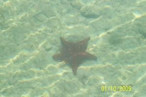 Briland's Blue Hole-哈勃岛必去景点