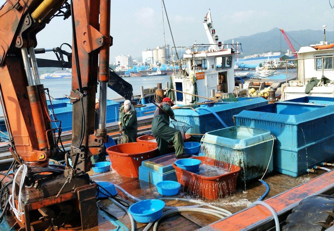 Mukho Port-东海市必去景点