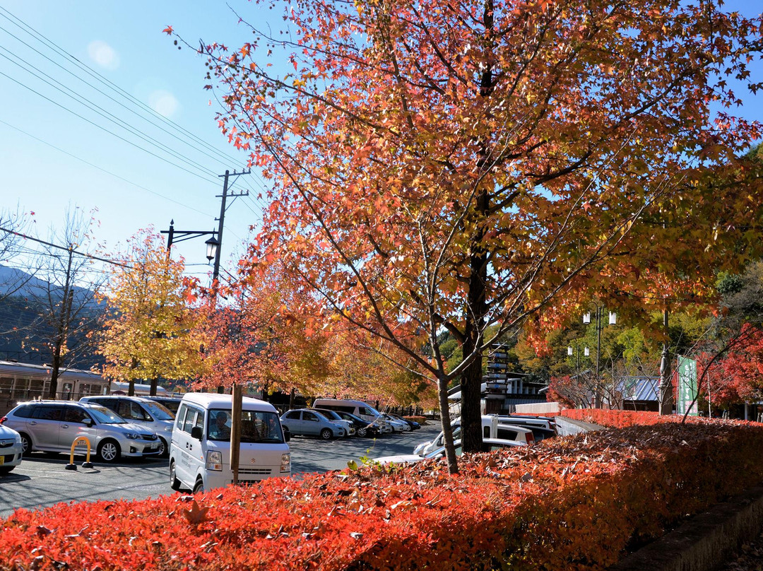 Michi-no-EKi Otoginosato-川根本町必去景点