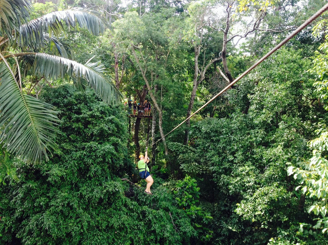丛林飞梭-卡图必去景点