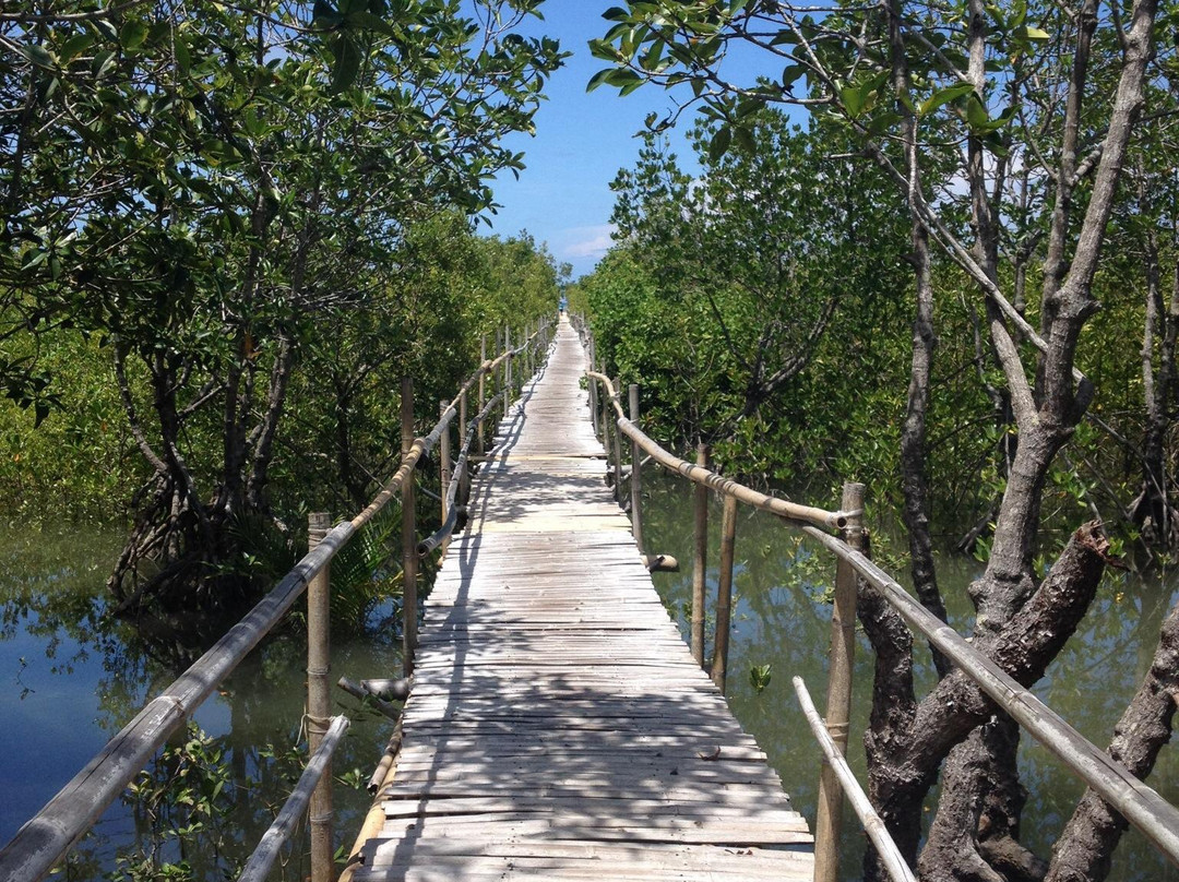 Bakhawan Eco-park and Research Centre-卡利波必去景点