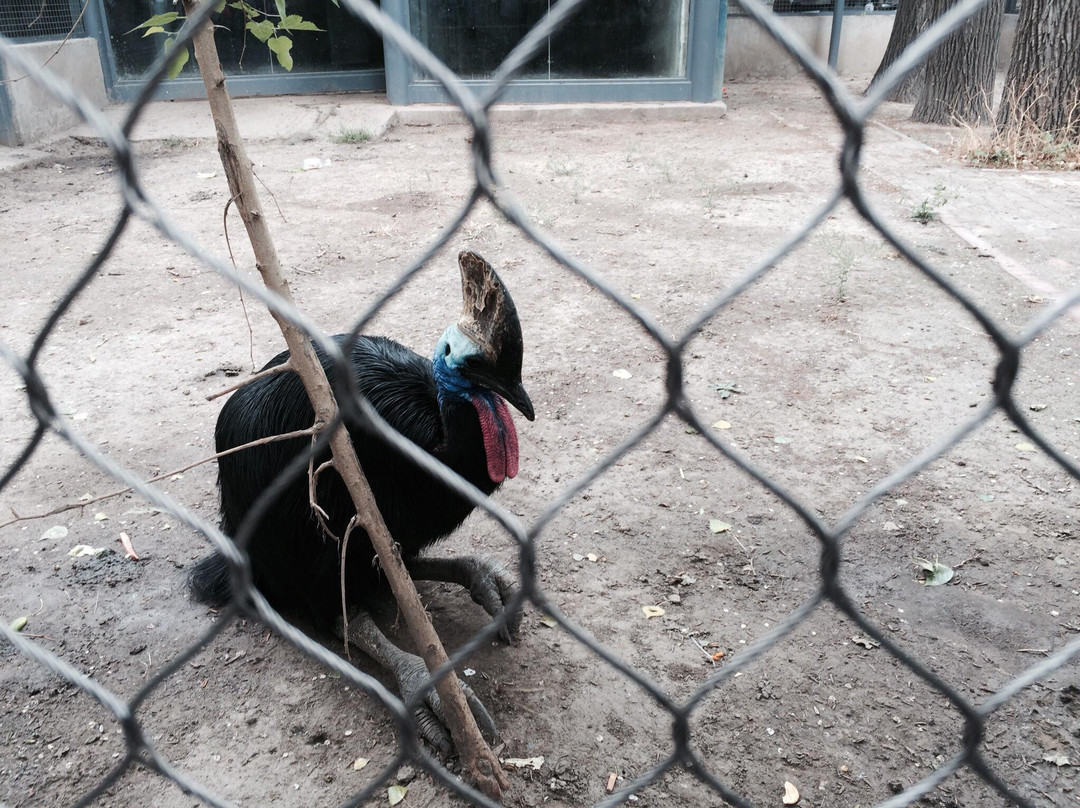 北京动物园-北京市必去景点