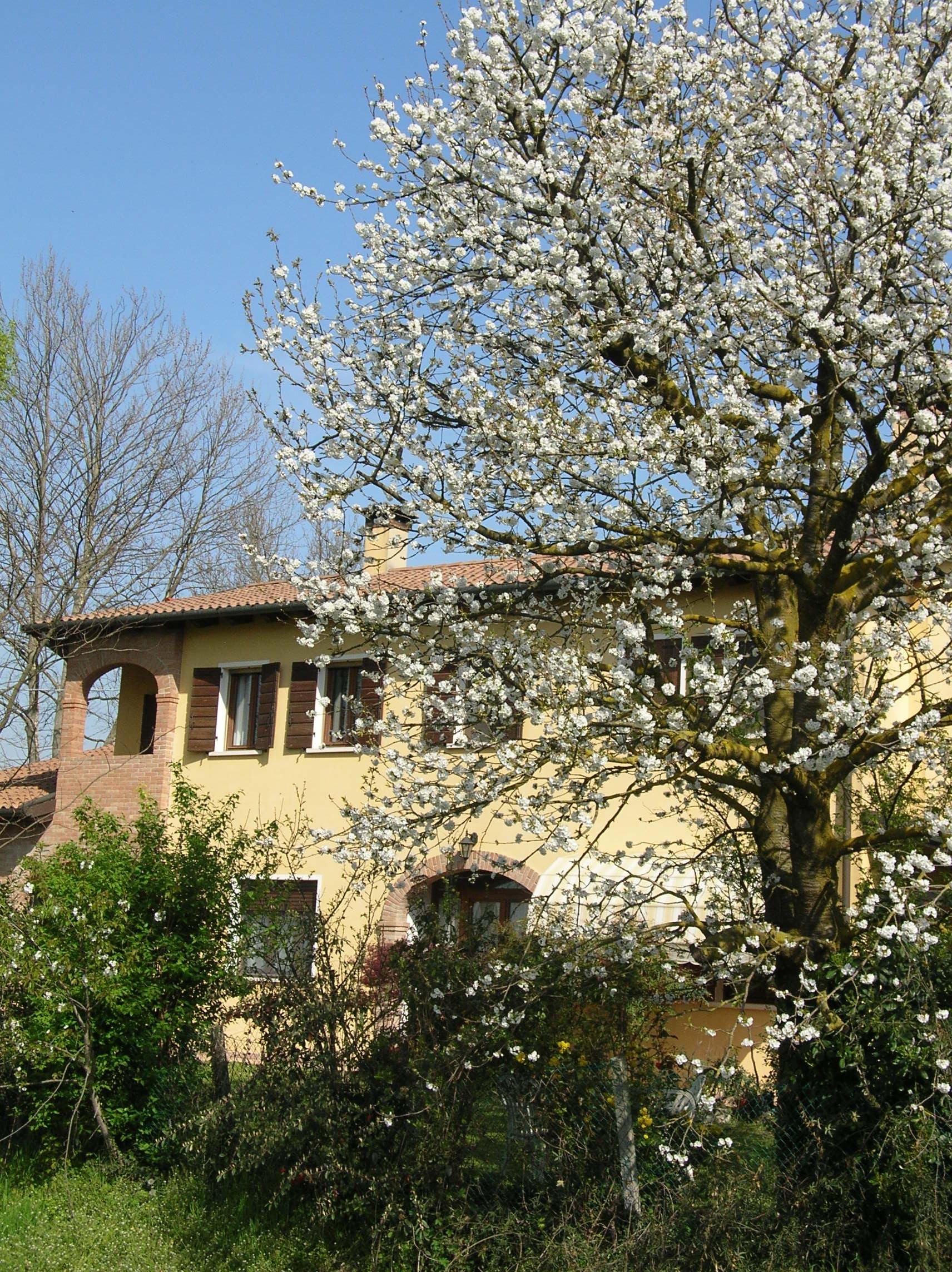 Aiciliegi B&B-官方