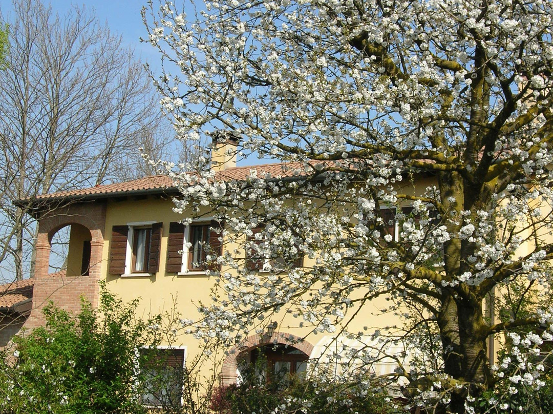 莫利亚诺韦内托酒店住宿-Aiciliegi B&B