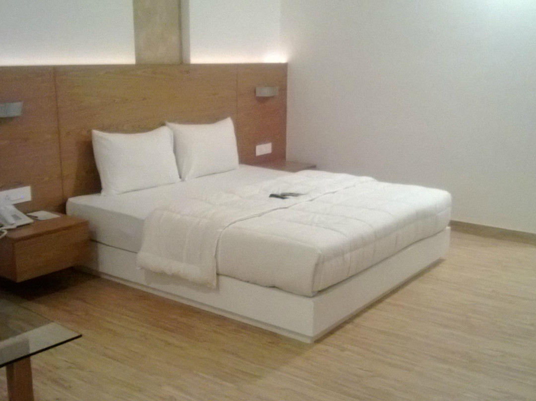 Jassons Sheesh Mahal主图