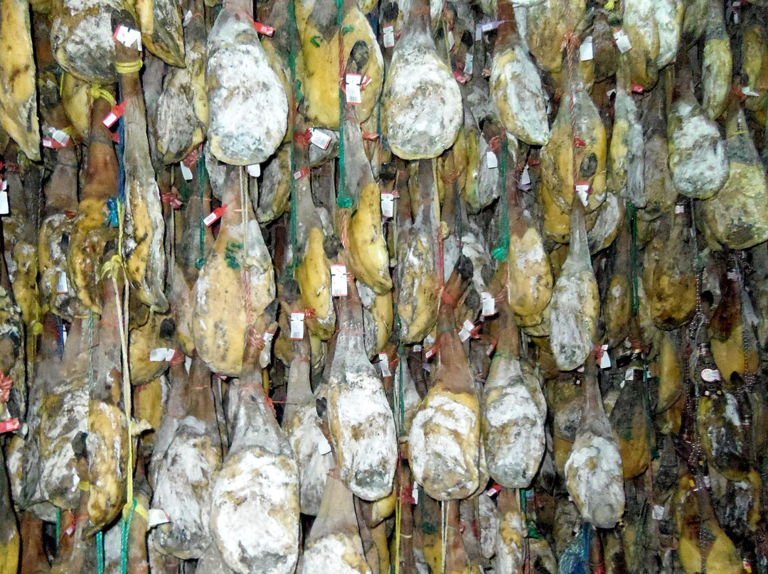 Ibericos Simon Martin Guijuelo SL景点图片