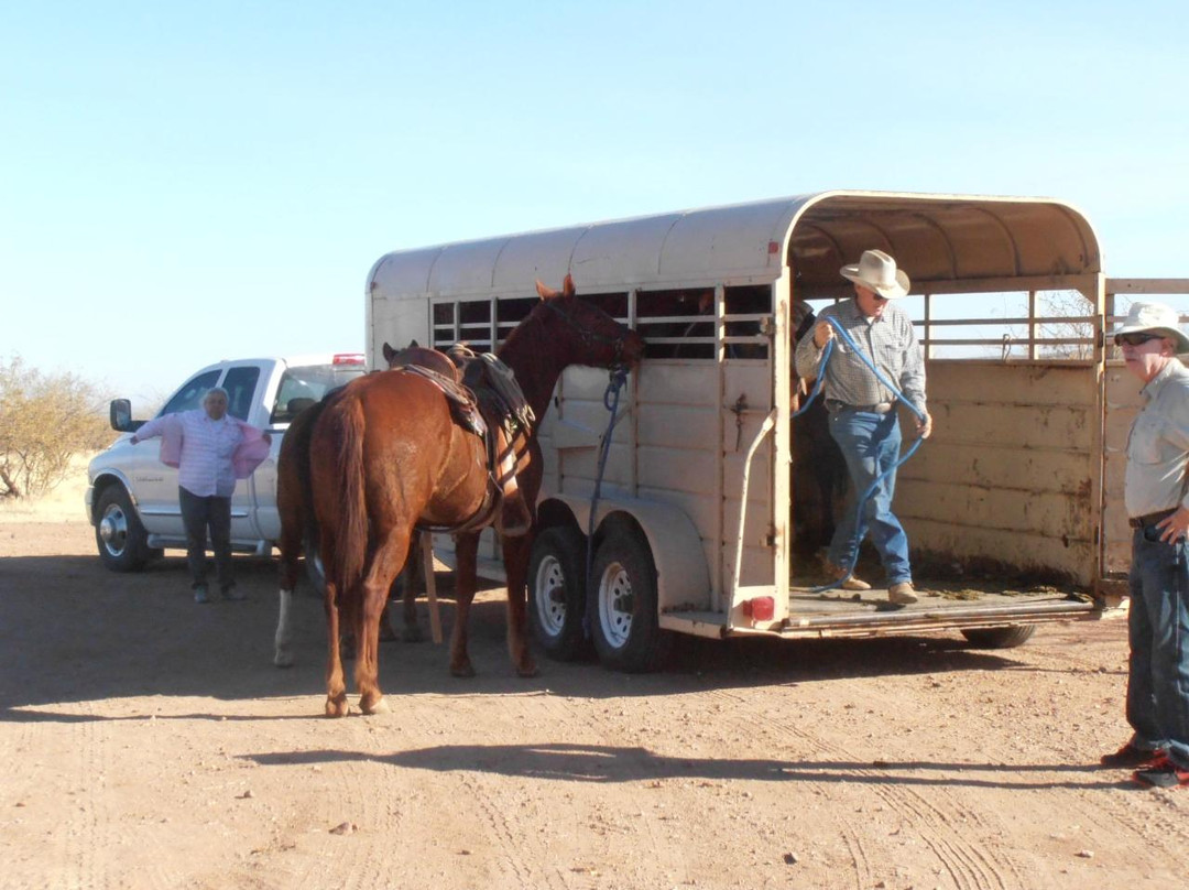 Henson Stables-Amado必去景点