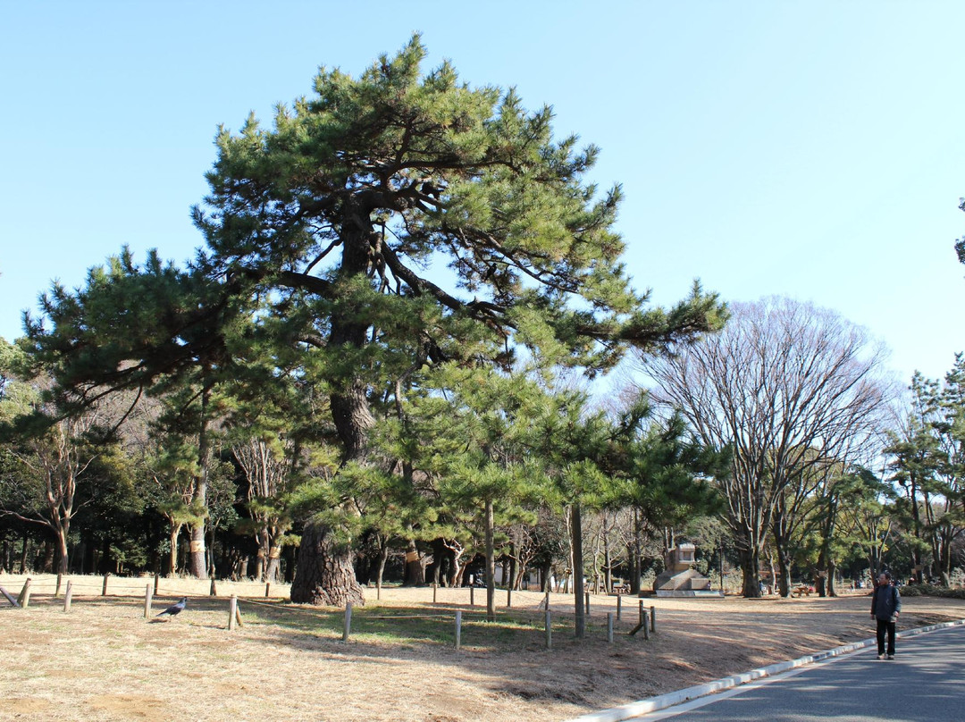 代代木公园-涩谷区必去景点