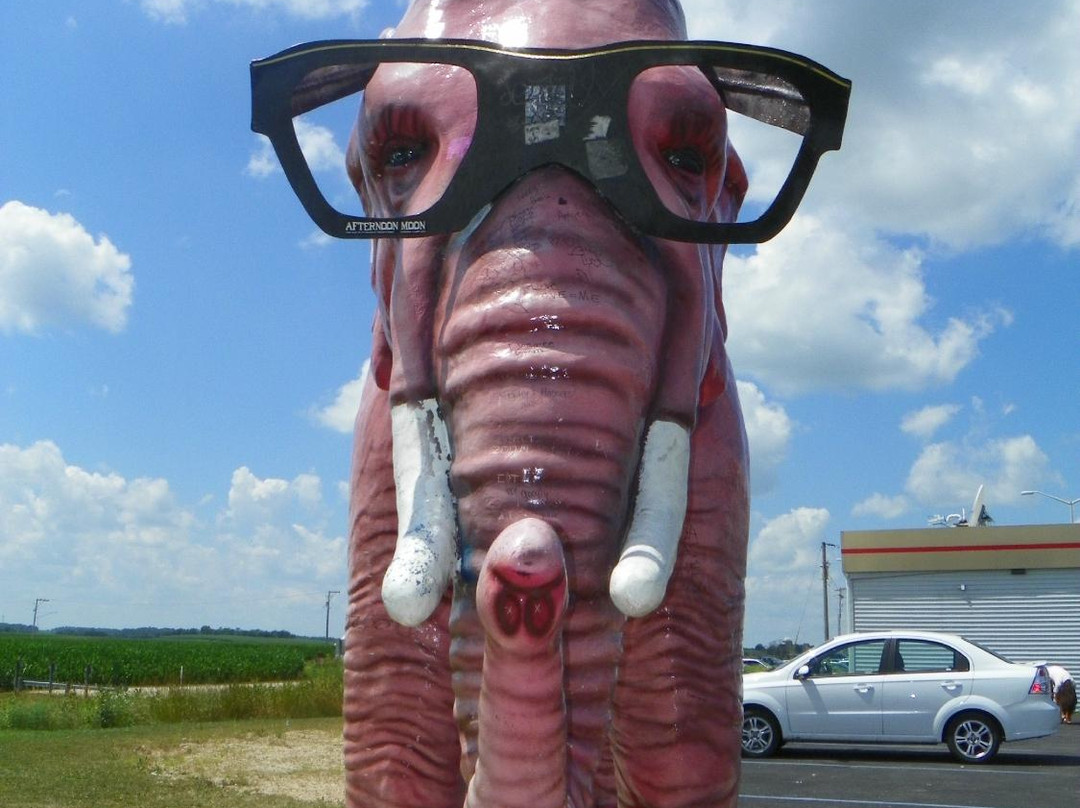 Pink Elephant-DeForest必去景点