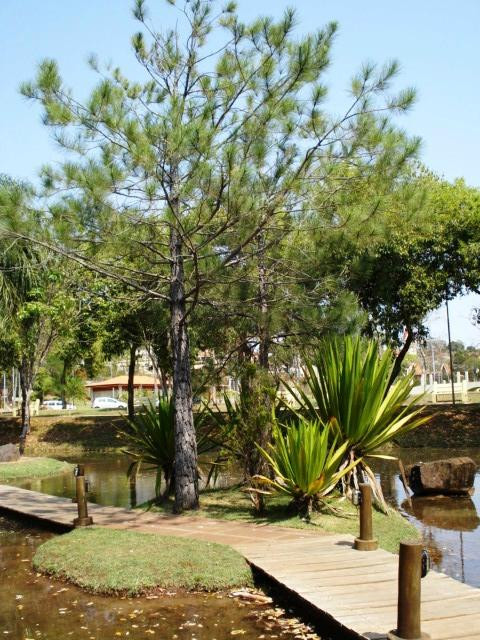 Balneário Mizael Marques Sobrinho景点图片