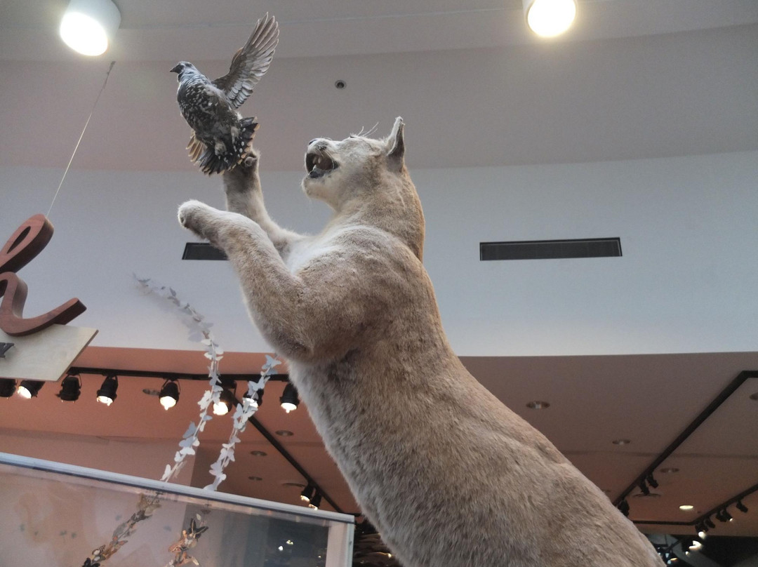 温哥华科学世界-温哥华必去景点