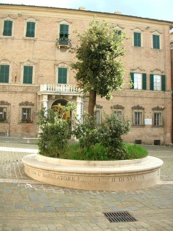 Piazza Federico II-杰西必去景点